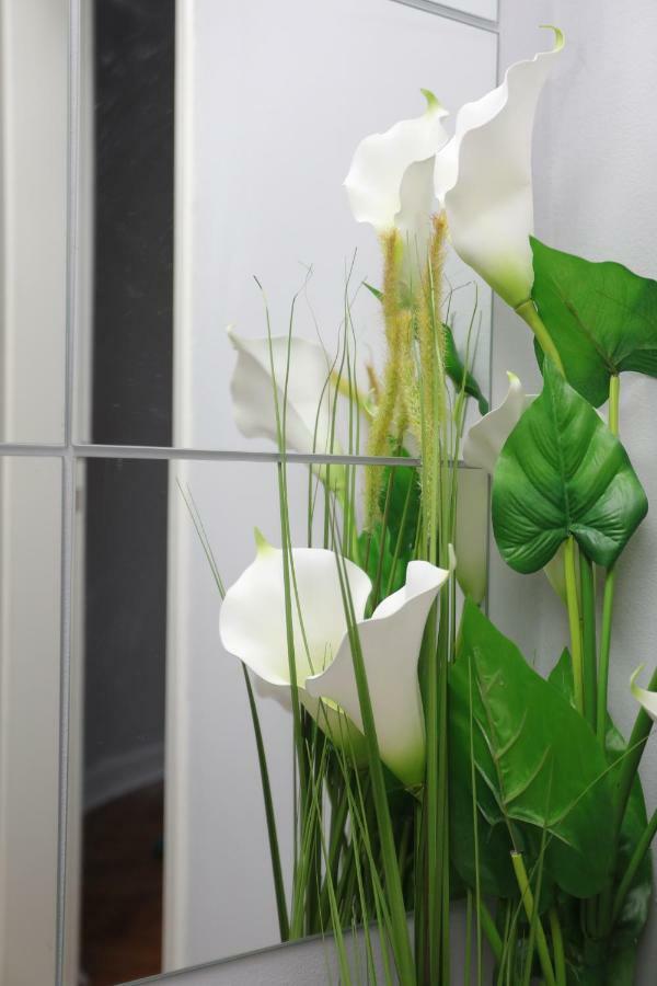 Skadar Apartment ベオグラード エクステリア 写真
